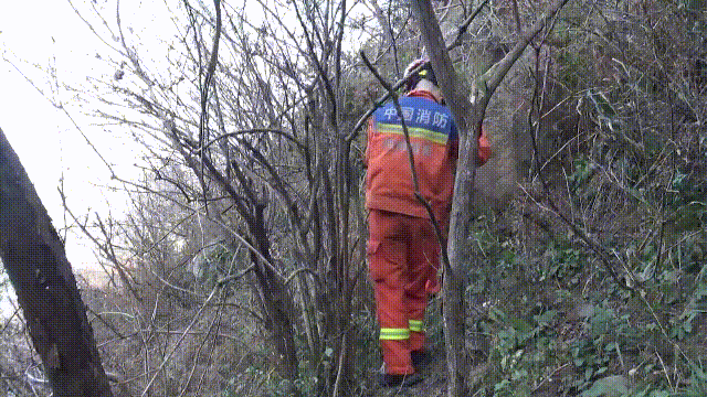 男子登山迷路，信阳消防紧急救援