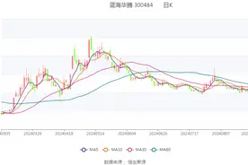 蓝海华腾：2024年上半年净利润1582.50万元 同比下降10.86%图片