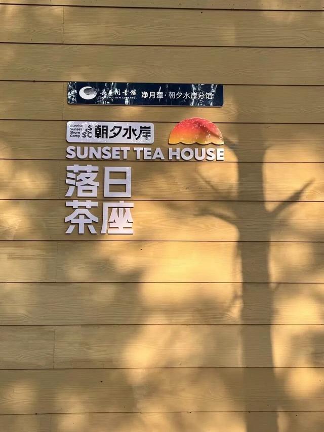 推荐！必打卡！