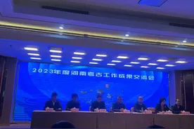 2023河南考古好戏连台（上）图片