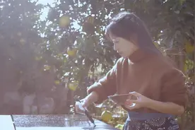 出走三年，李子柒归来为何仍是顶流图片