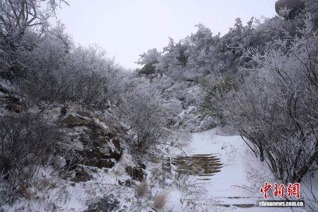 豫西落雪：白云山间银装素裹
