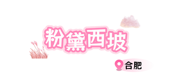 别只惦记红叶了！安徽的秋天，是五彩斑斓的！