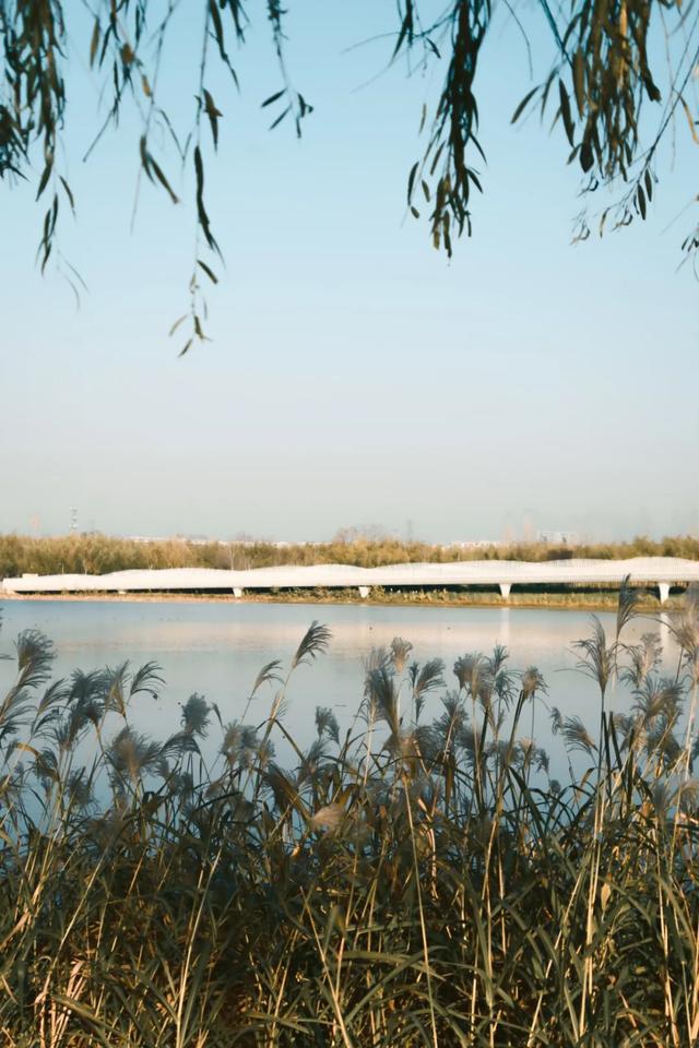 全部免费！西安4个冬日晒太阳好去处！