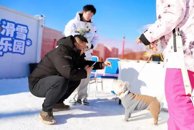 玩转平谷冬趣——全域冰雪地图来啦，开启你的热“雪”冒险！