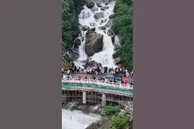 突然爆火的“禁区”哀牢山是什么来头？景区发布安全警示图片