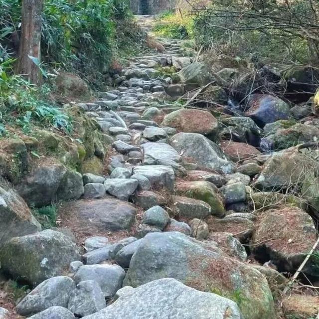 向云端，17分钟，这条云端索道全攻略来啦！