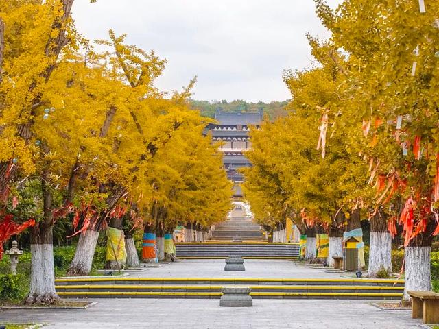 武进绝美打卡地！在嘉泽、湖塘、雪堰、前黄……