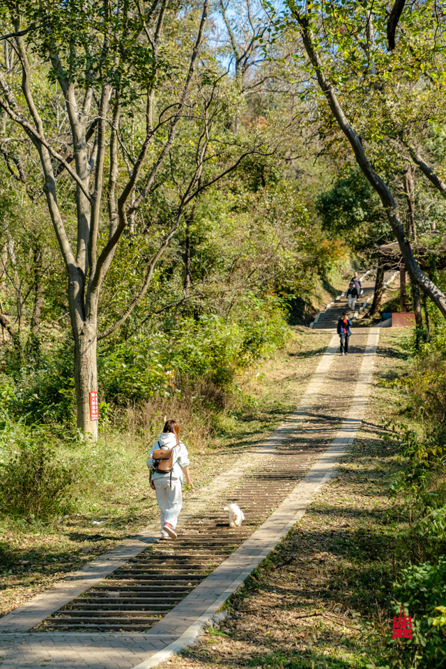 抓住晴天尾巴，徒步青龙山！