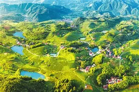 到仙岩体验茶文化图片