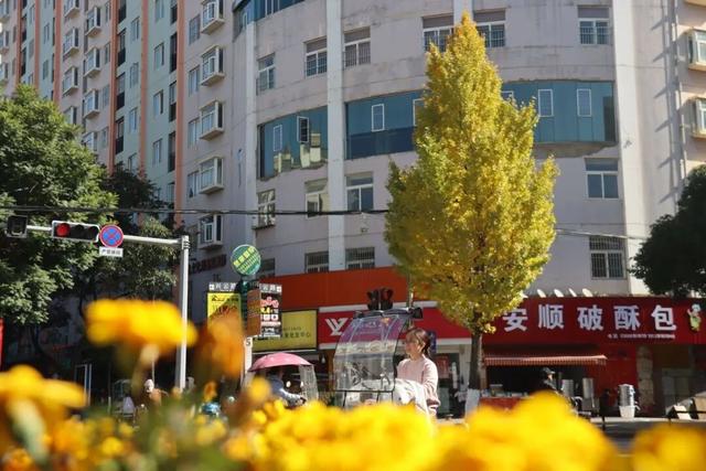 旅居云南·入昆第一站，先去嵩明烤个太阳~