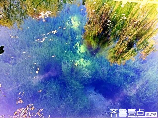 水韵悠悠访泉林