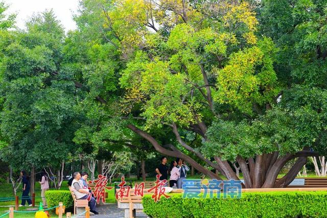 一年四季 泉在济南丨微风不燥秋意浓，泉城公园开启市民休闲露营模式