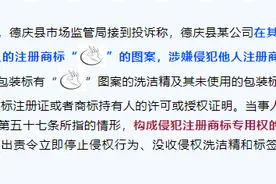 广东省肇庆市发布2023年打击侵犯知识产权和制售假冒伪劣商品典型案例图片