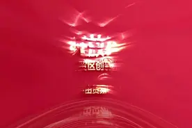 山东自贸区：五载耕耘谱新篇 枝繁叶茂正当时图片