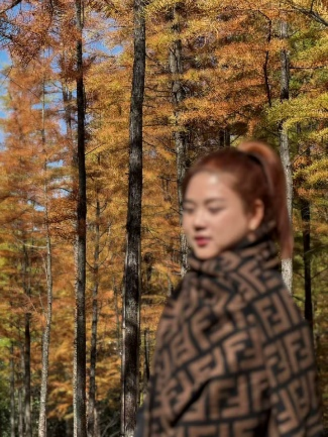 湖南绝美银杏打卡地，太出片了