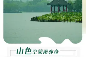 夏雨中的大明湖，怎一个美字了得 | 泉城周记·大片儿图片