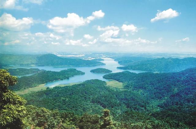 央视大片《珠江》里的花都④:花都的美,每一秒都封神~