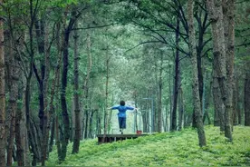 成都人的“绿色空调房”！在森林公园清凉一“夏”→图片