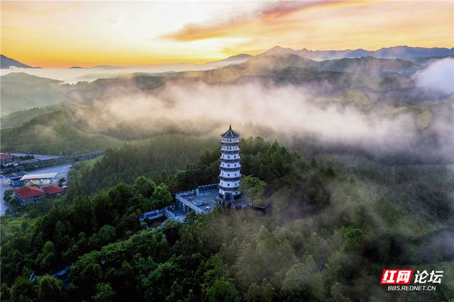 【每日一图@湖南】云雾是山林的呼吸，文峰塔是靖州的心跳