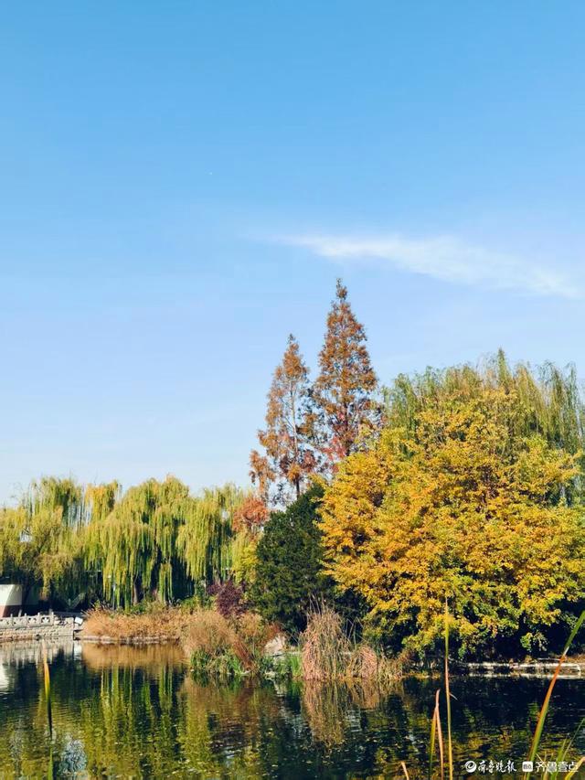 秋高气爽，金色泉城公园