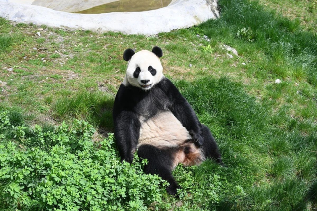 先预约，再出发！秋日九寨沟，还有更多宝藏景点等你探索！