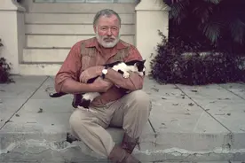 寻猫启示｜租猫过暑假，收集六趾猫……男作家们这样爱猫图片