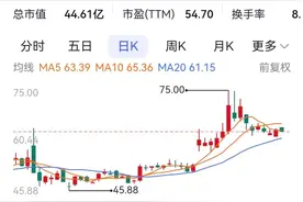 今年渝股首份股权激励：紫建电子推半价限制性计划图片