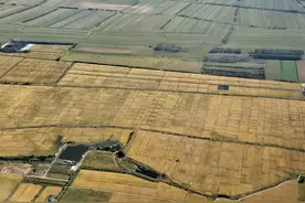 全国产粮第一大省黑龙江进入“丰收时间”图片