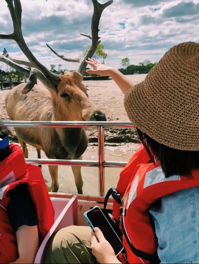 抓紧出发！错过就要等明年！