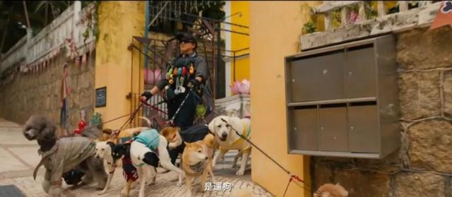 跟着电影去旅行！这些打卡地太出片