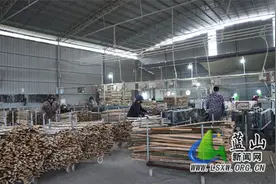 蓝山县：昔日竹屑成废料 今朝竹炭变“黑金”图片