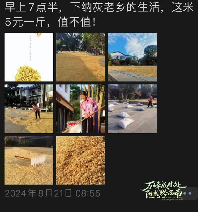 贵州万峰林“开开姐”年卖万斤米，让游客“袋”走万峰林山水