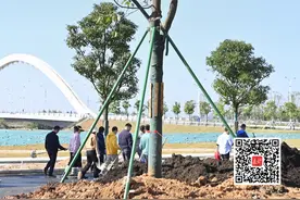 植树节特辑｜一不小心，将中山拍进了“地理课本封面”图片