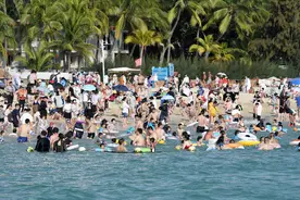 海南进出岛日均开行列车12列！多地开行前往广深的务工专列图片