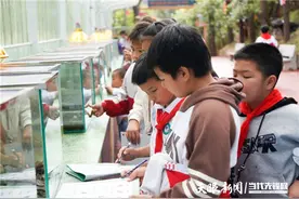 凯里研学好去处，恐龙欢乐大世界图片