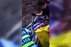 养殖场现大蟒蛇被抓时已产下8枚蛇卵 已移交野生动物救护中心图片