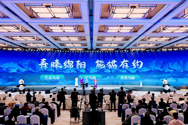 这一次，不得不去绵阳了！