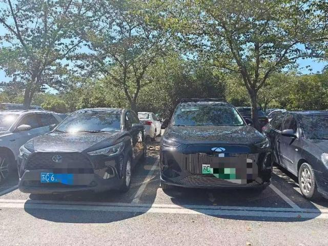 挤爆！今天，大批徐州人涌入无锡……