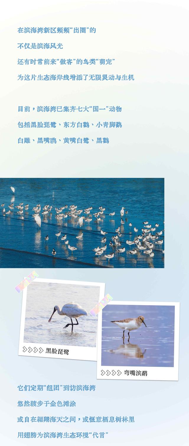 长图｜全国生态日，一同感受滨海湾近在咫尺的生态脉动
