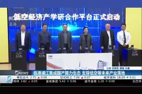 临港浦江集成国产算力生态 支撑低空等未来产业落地视频封面