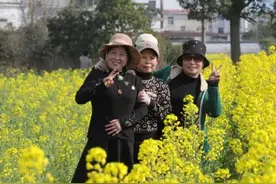 屯溪区：“点绿成金” 生态红利变民生福利图片