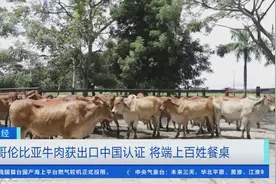 拉丁美洲食材加一！哥伦比亚牛肉获出口中国认证，将端上百姓餐桌图片