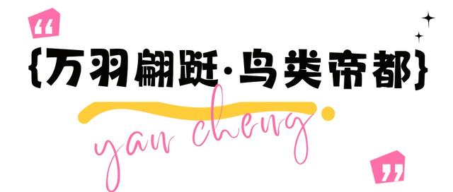 不来盐城，怎知秋色如许？