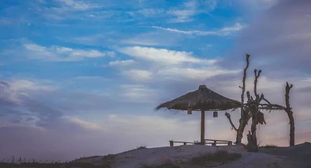 来这里,这个冬天属于我和你