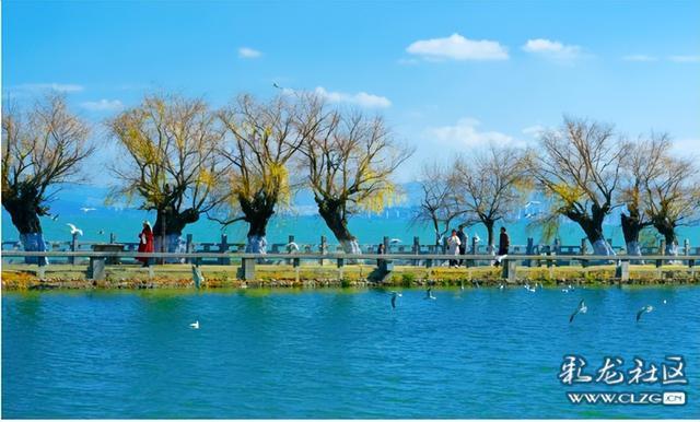 昆明小众人少看滇池喂海鸥的宝藏打卡地