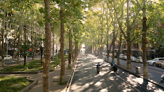 神都风物｜有一种深秋，叫西苑路