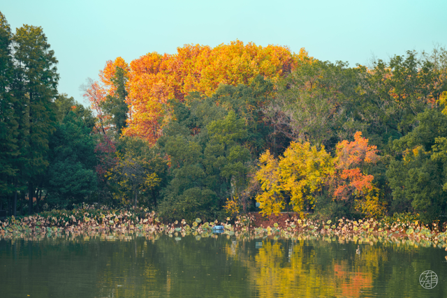 天晴了，去落雁过秋天！