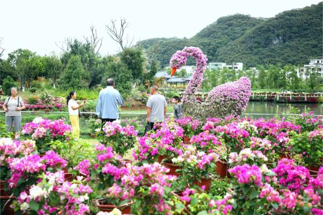 这个假期，25万游客在长顺“花样”过节！