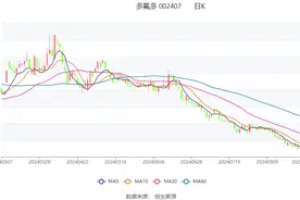 多氟多：2024年上半年净利润7032.63万元 同比下降73.78%图片